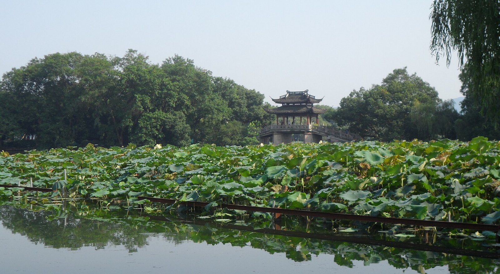 Quyuan Fenghe.