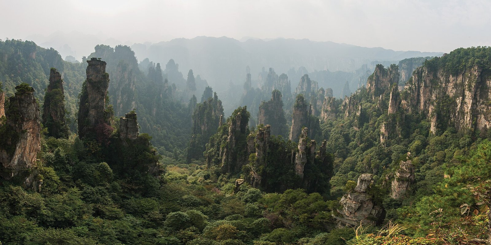 Tianzi Mountain.