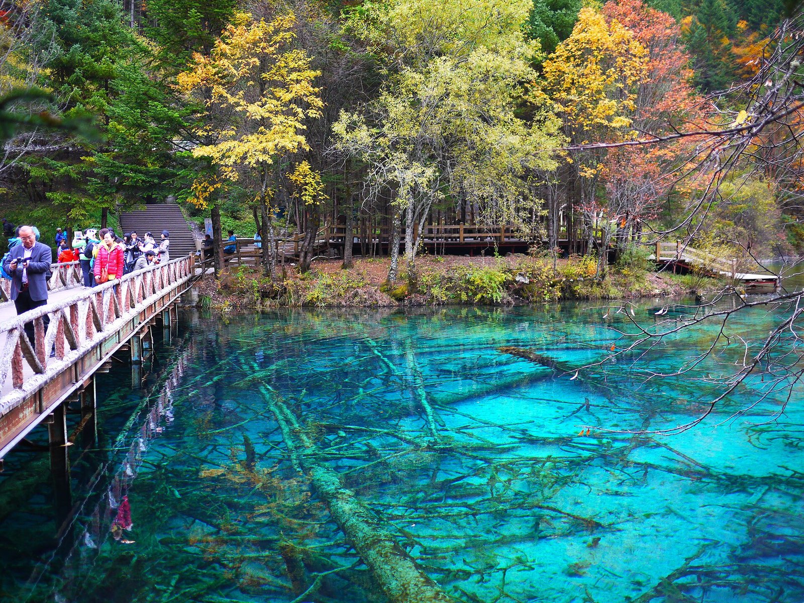 Five Flower Lake Jiuzhaigou.