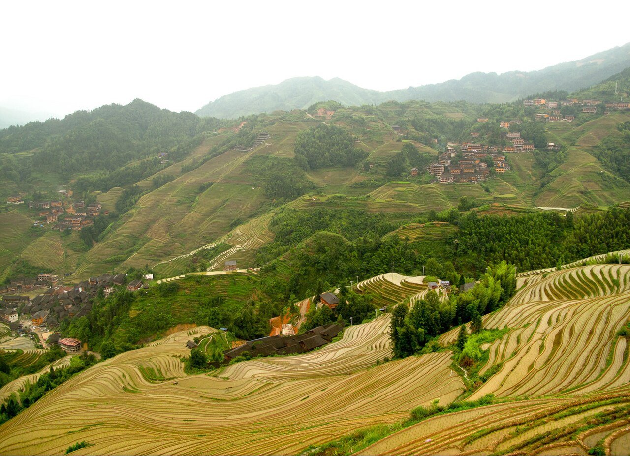 Longji Rice Terraces