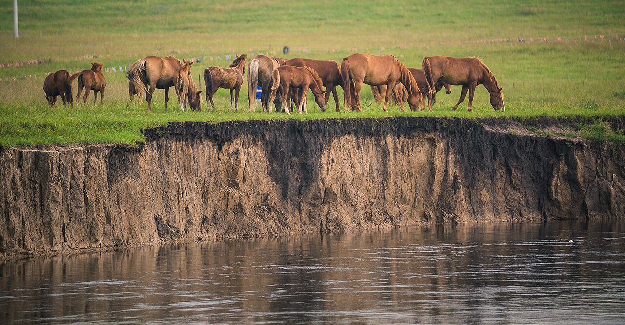 Hulunbuir grassland.