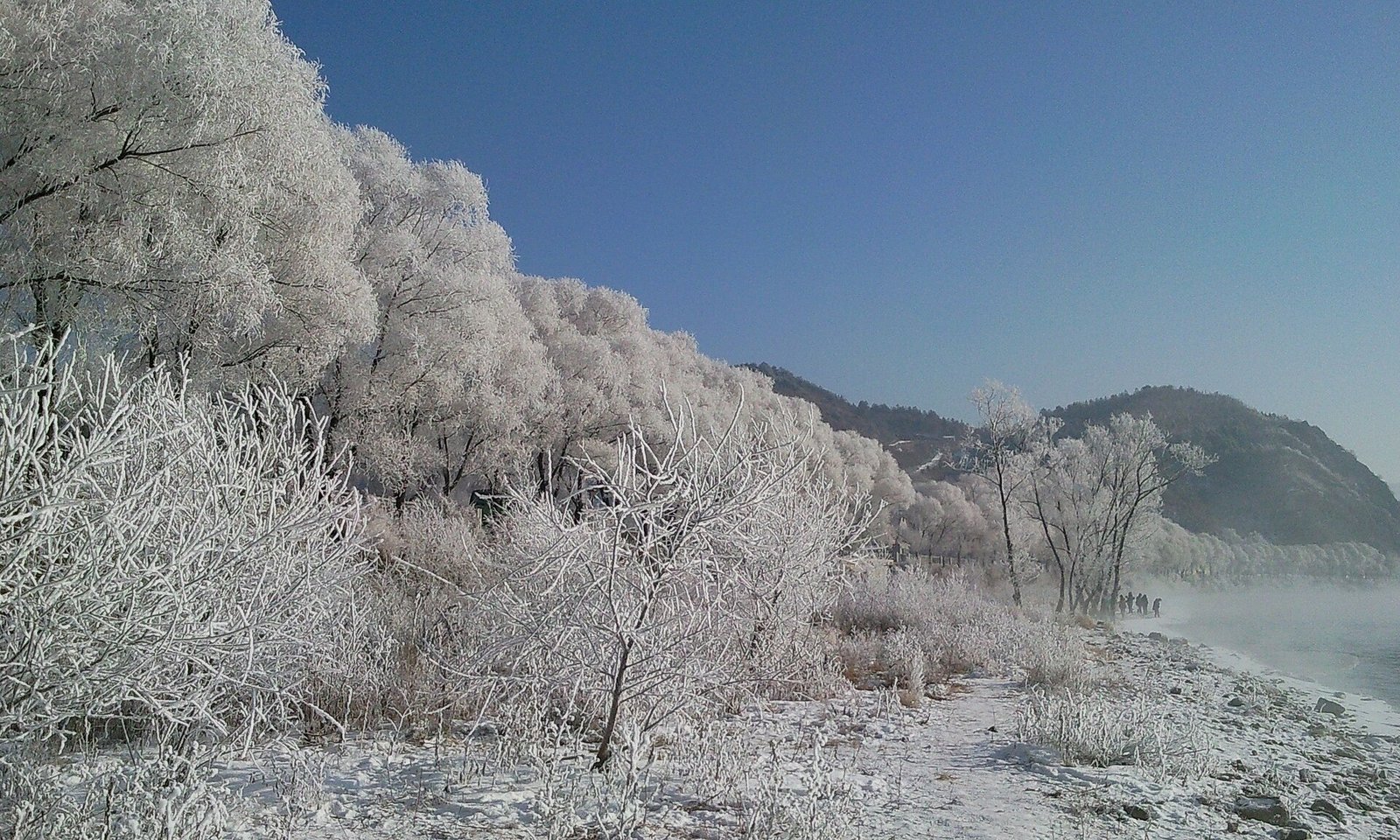 Frost-covered trees beside the Songhua River in Jilin.