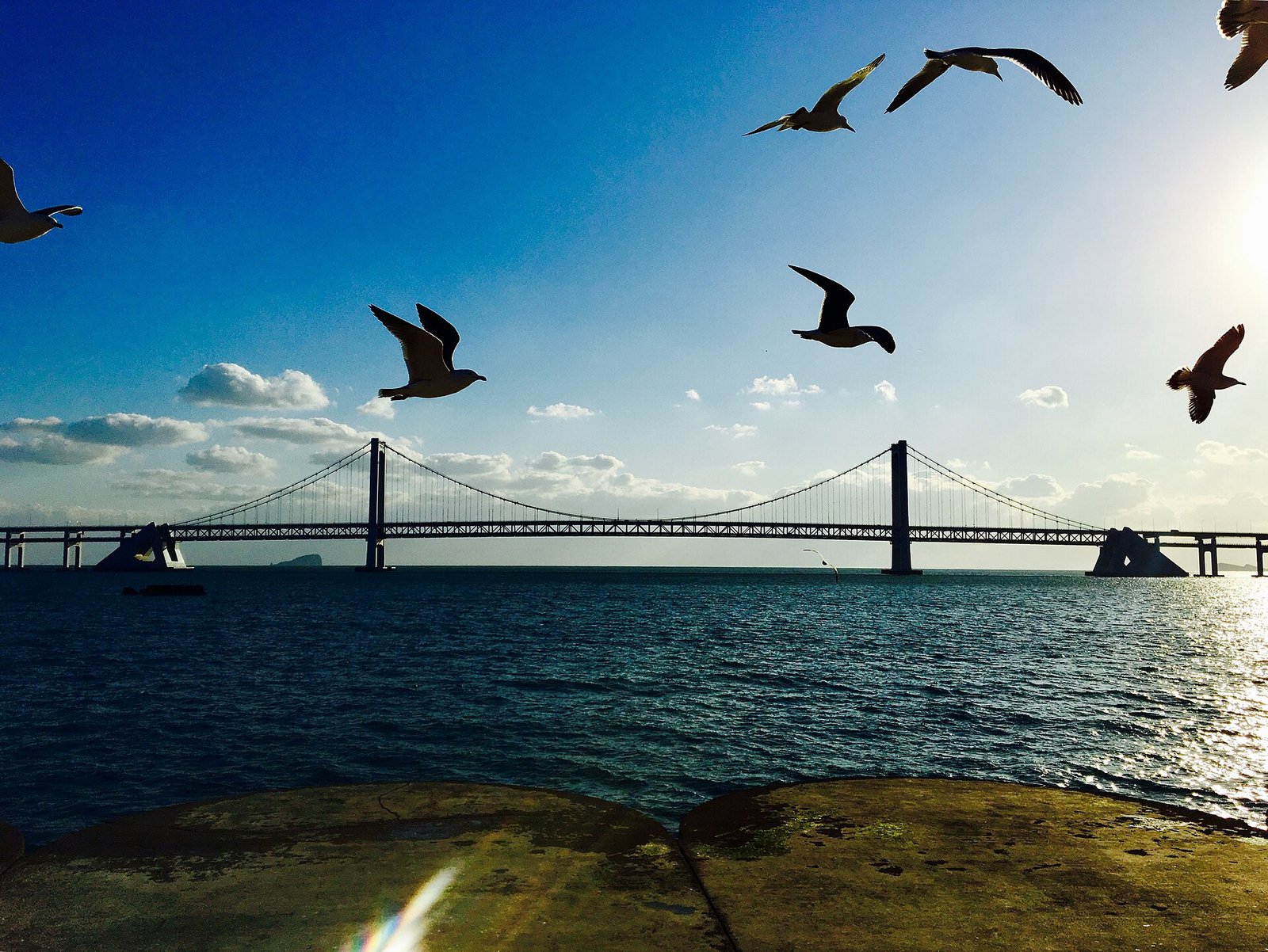 Dalian Xinghai Bay.