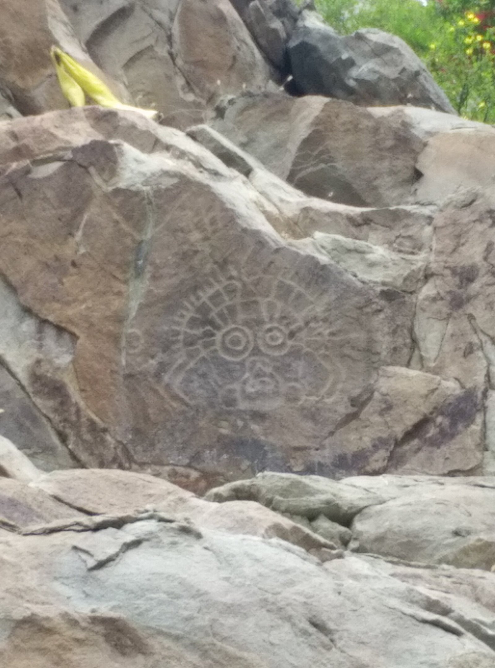 Helan rock art.