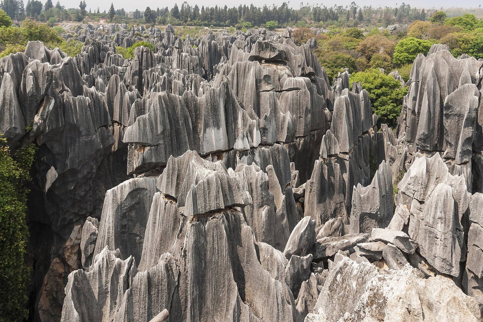 Shilin Stone Forest.