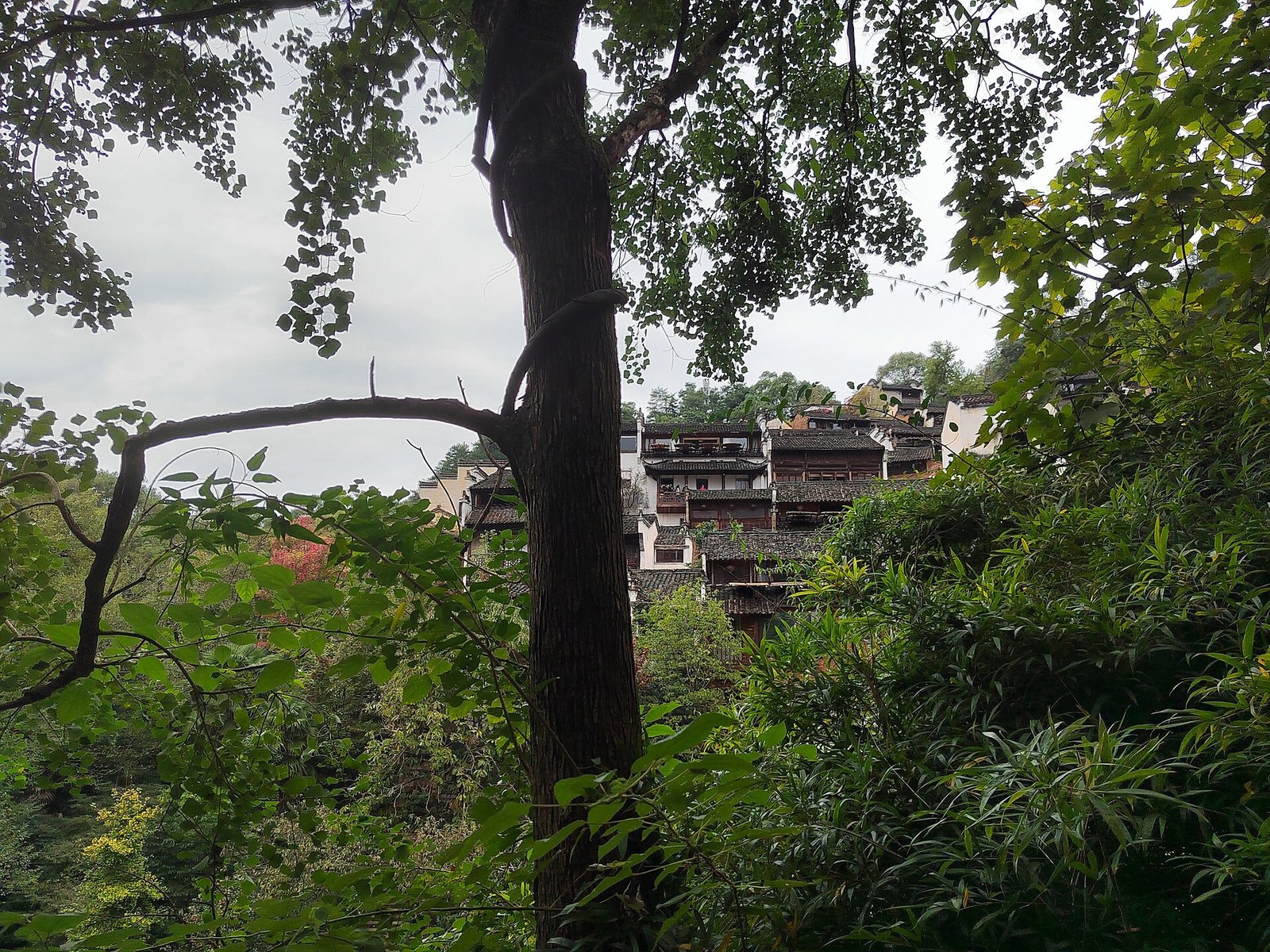 Wuyuan village.